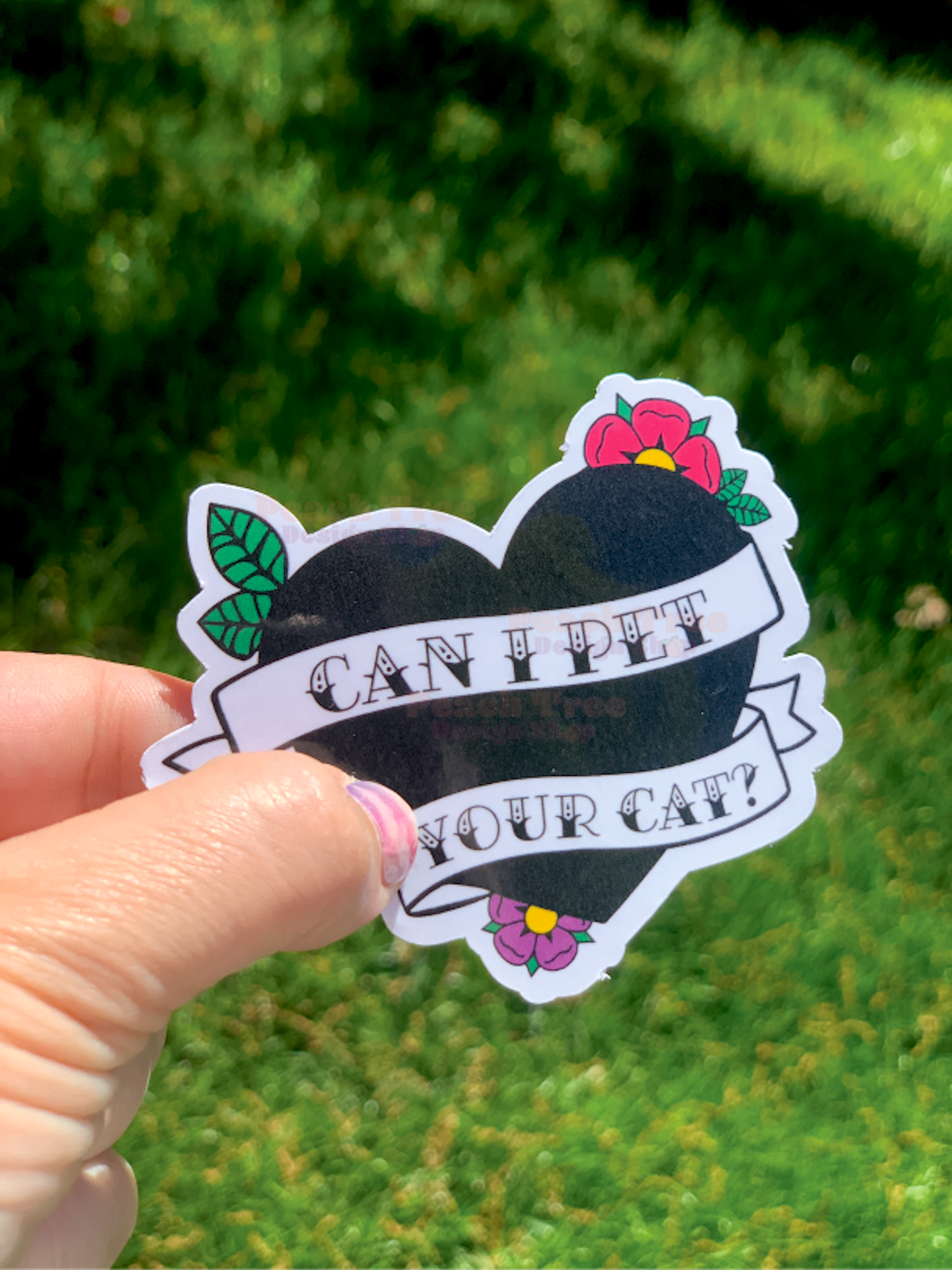 Can I Pet Your Cat Sticker