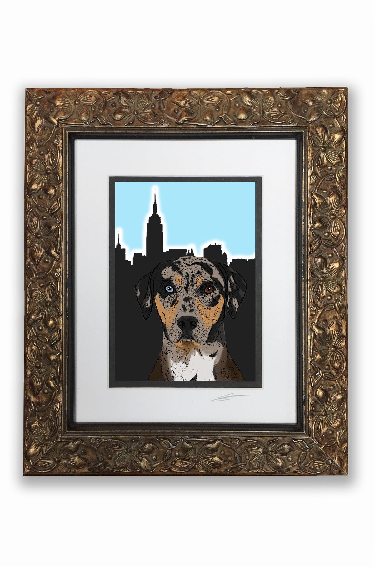 Catahoula Pupart Portrait