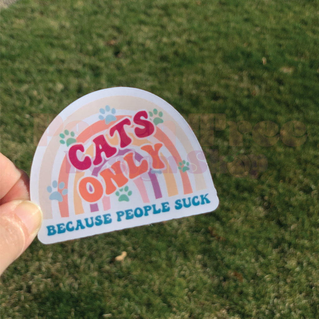 Anti-Inspiration Boho Rainbow Stickers