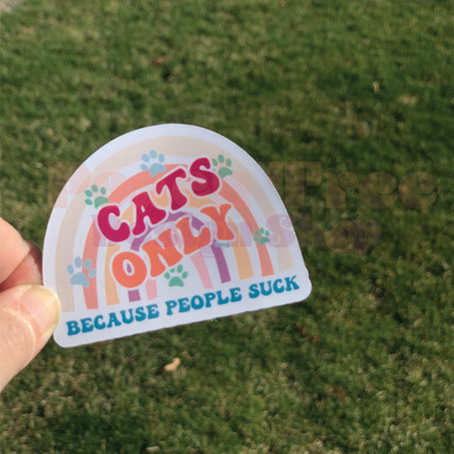 Anti-Inspiration Boho Rainbow Stickers