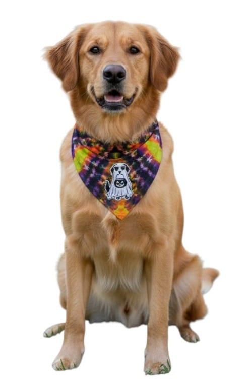 Certified Treat Collector AC