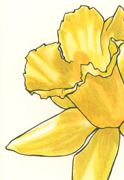 Daffodil Print