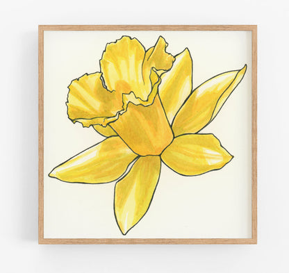 Daffodil Print