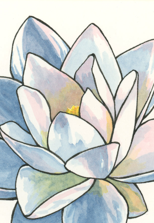 Lotus Print
