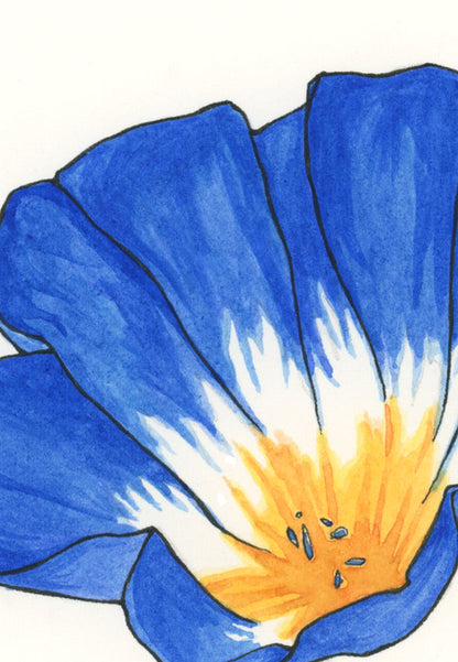 Morning Glory Print