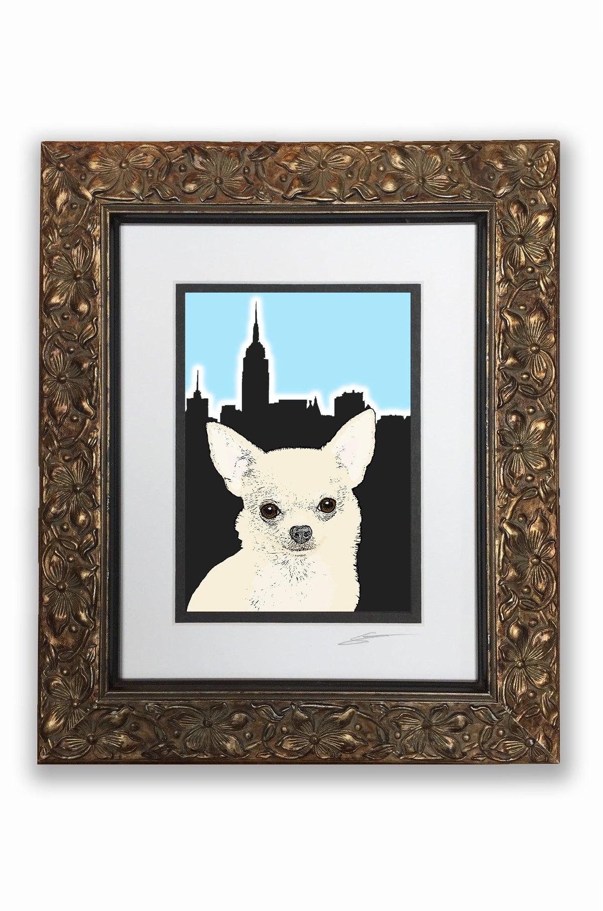 Chihuahua Fluffy Pupart Portrait