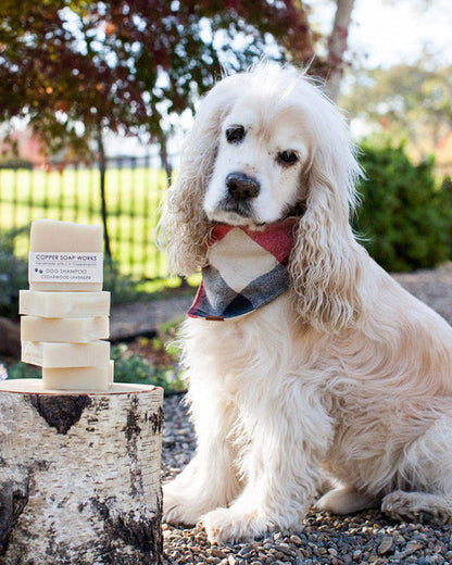 all natural solid dog shampoo bar