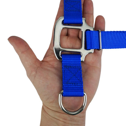 Cross Body Leash Strap