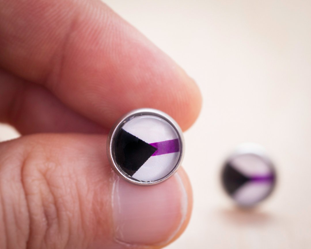 demisexual pride stud earrings