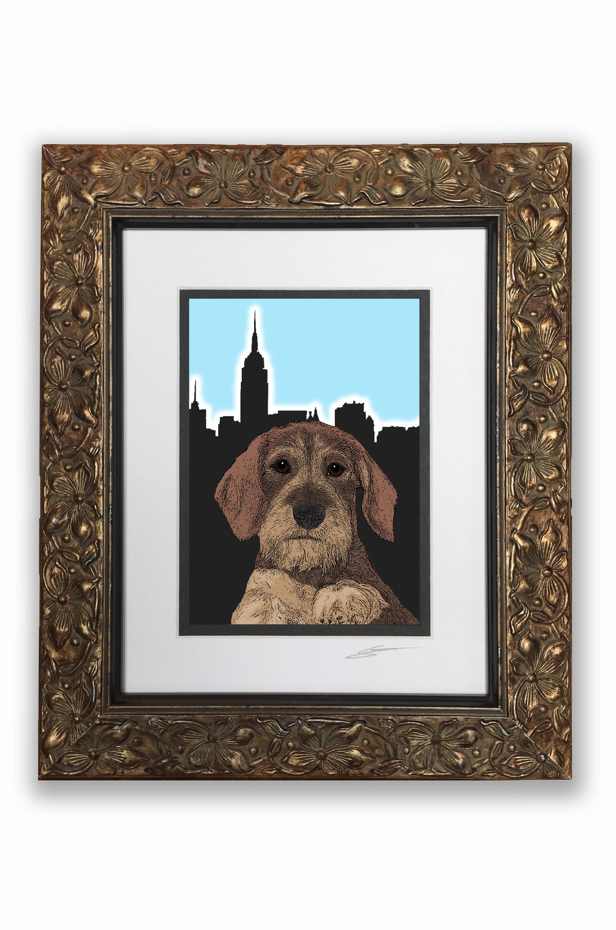 Dachshund Wirehair Pupart Portrait