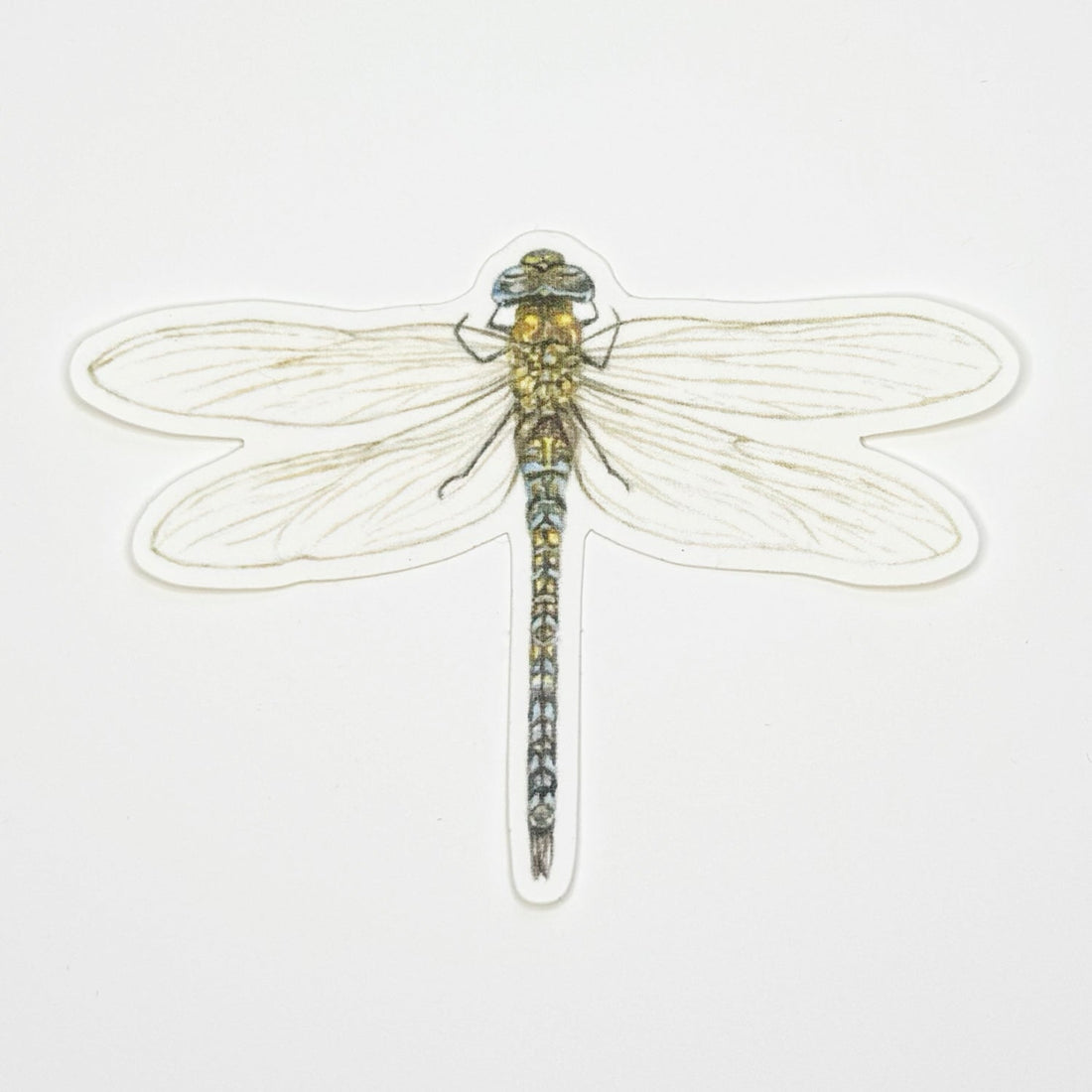 Dragonfly Sticker