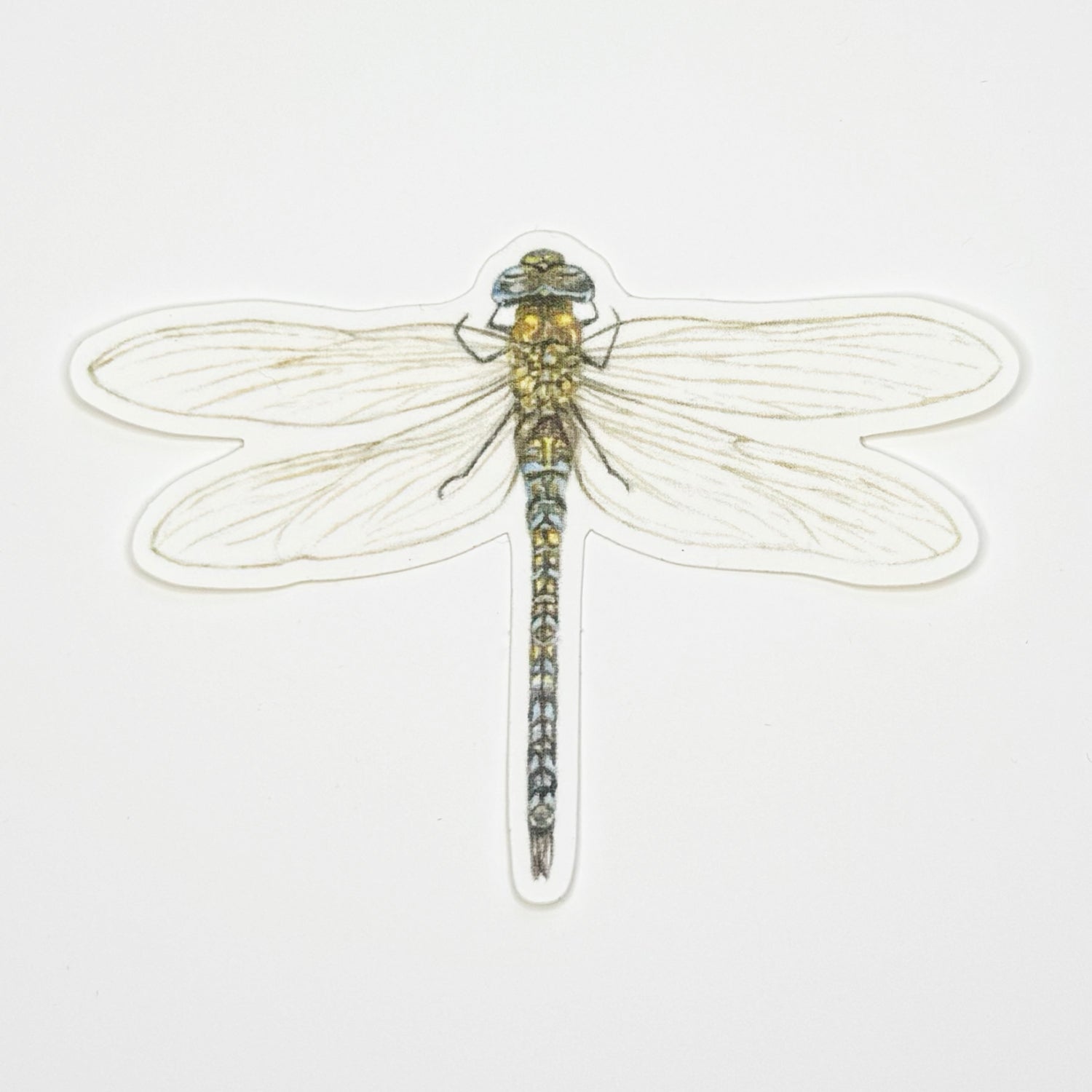 Dragonfly Sticker