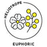 essential oils aromatherapy blending customize euphoric