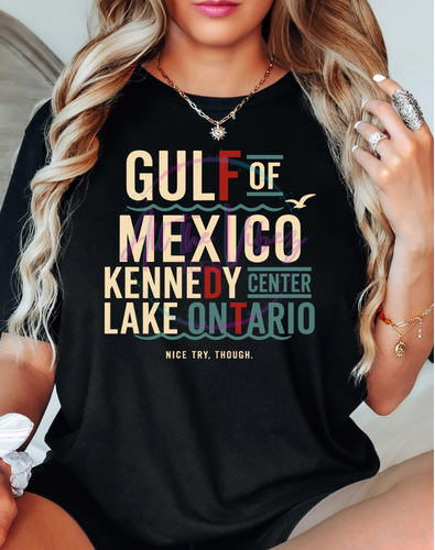 FDT Gulf of Mexico, Kennedy Center, Lake Ontario Shirt | Political Humor Tee