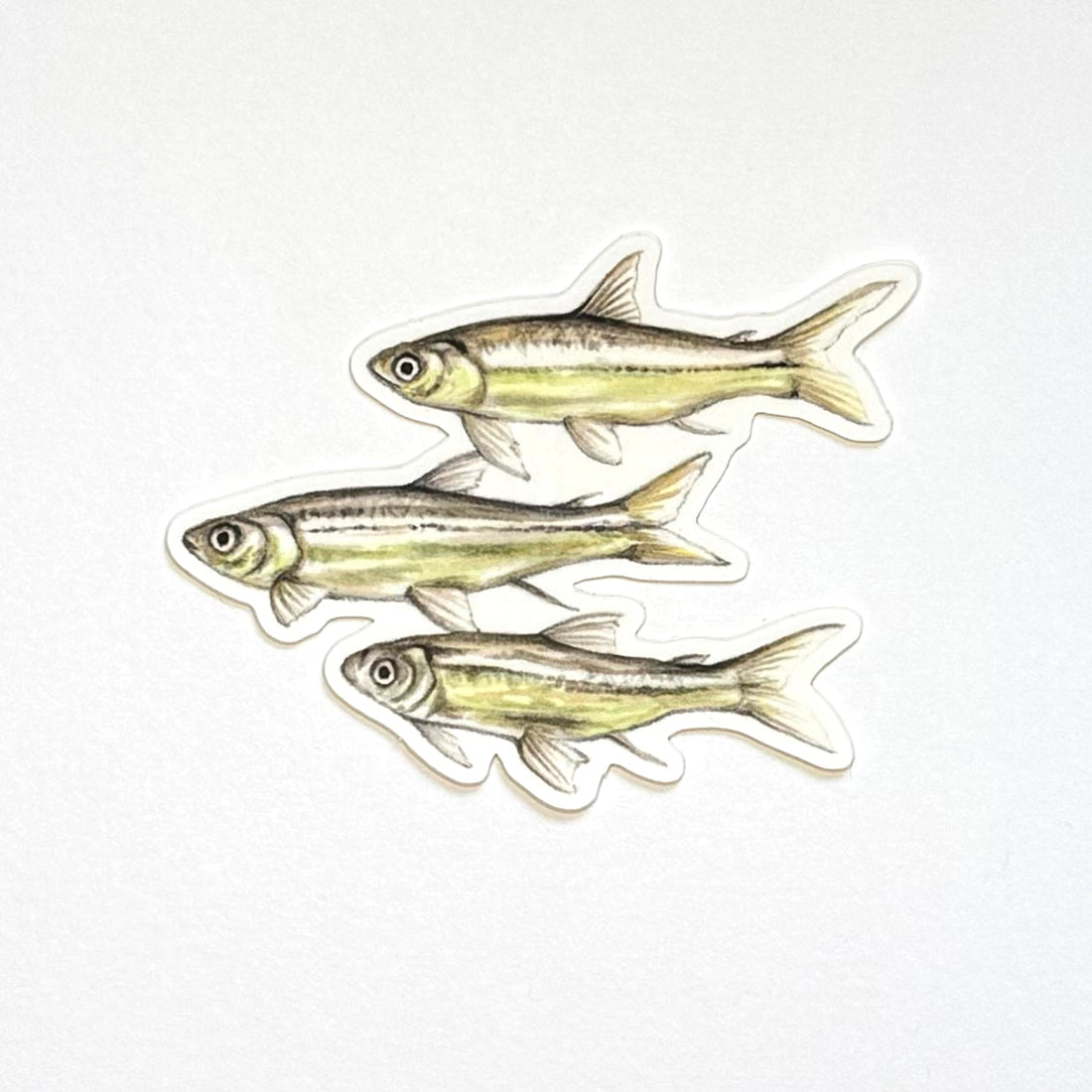 Guppies Sticker
