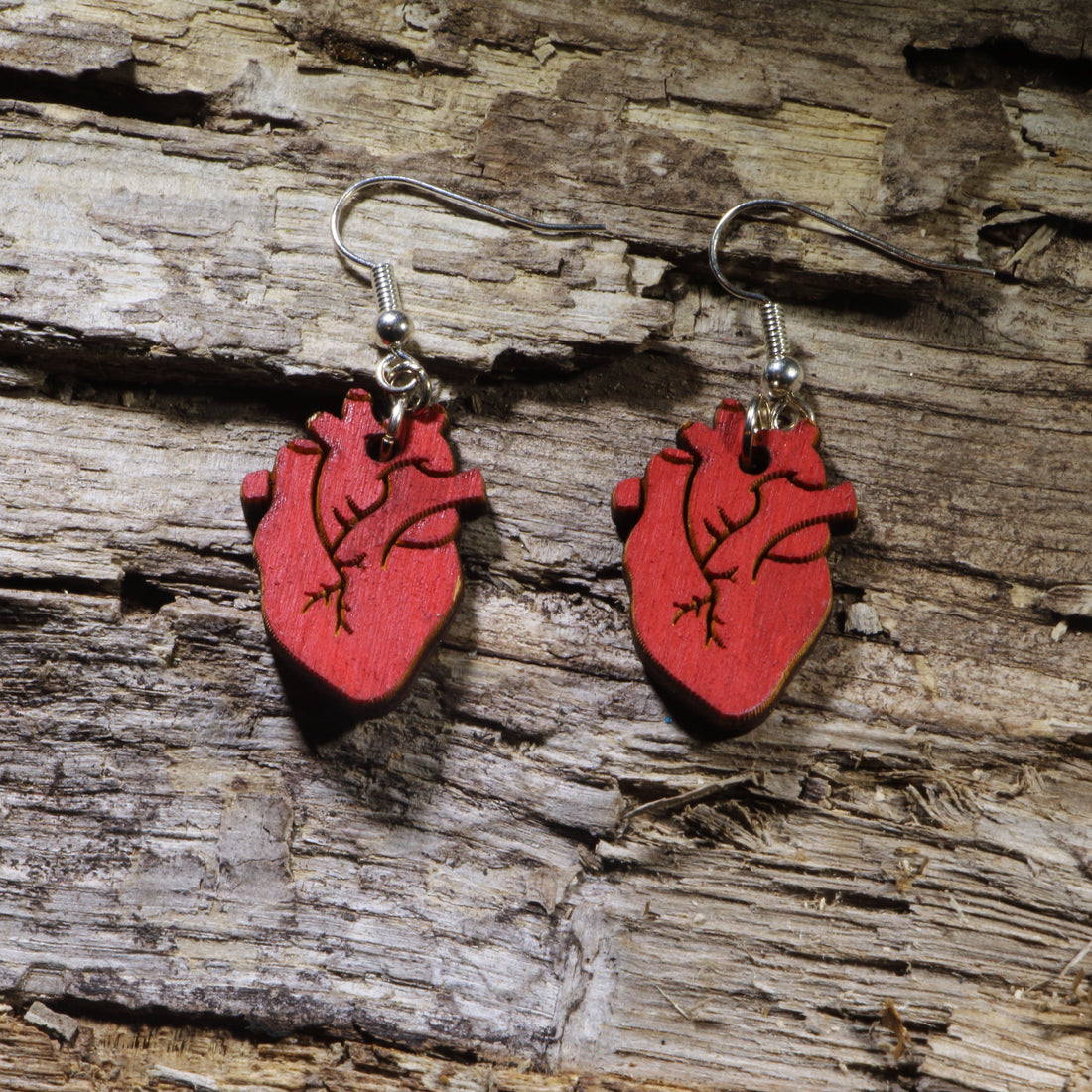 Hand-painted anatomical heart wooden dangle earrings on hypoallergenic .925 sterling silver hooks. Lightweight medical anatomy jewelry for doctors, nurses, medical students, anatomy teachers, and science enthusiasts.