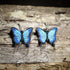 Hand-painted wooden blue morpho butterfly dangle earrings featuring vibrant blue butterfly wings with realistic black edging on hypoallergenic .925 sterling silver hooks. Lightweight butterfly jewelry for nature lovers, gardeners, butterfly enthusiasts, pollinator supporters, and anyone who loves colorful insect-inspired accessories.