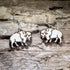 Handcrafted white buffalo wooden dangle earrings featuring a detailed American bison silhouette with engraved accents. Lightweight laser-cut wooden earrings with hypoallergenic .925 sterling silver hooks, perfect for wildlife lovers, Western style, National Park enthusiasts, buffalo fans, and handmade nature-inspired jewelry.