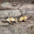Handmade armadillo wooden dangle earrings crafted from lightweight laser-cut wood with hypoallergenic .925 sterling silver hooks. Wildlife jewelry featuring an armadillo silhouette, perfect for animal lovers, Southwestern style, Texas-inspired gifts, desert wildlife enthusiasts, and nature lovers.
