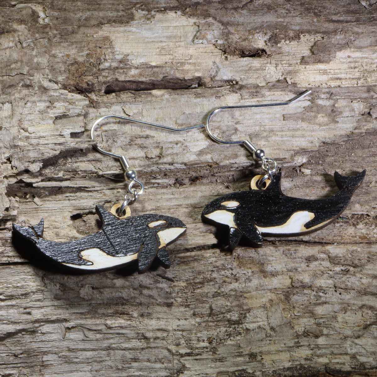 Handmade orca whale wooden dangle earrings featuring black and white killer whales with hand-painted details. Lightweight ocean wildlife earrings crafted from wood with hypoallergenic .925 sterling silver hooks, perfect for orca lovers, marine biologists, whale watchers, ocean enthusiasts, and sea life jewelry collectors.