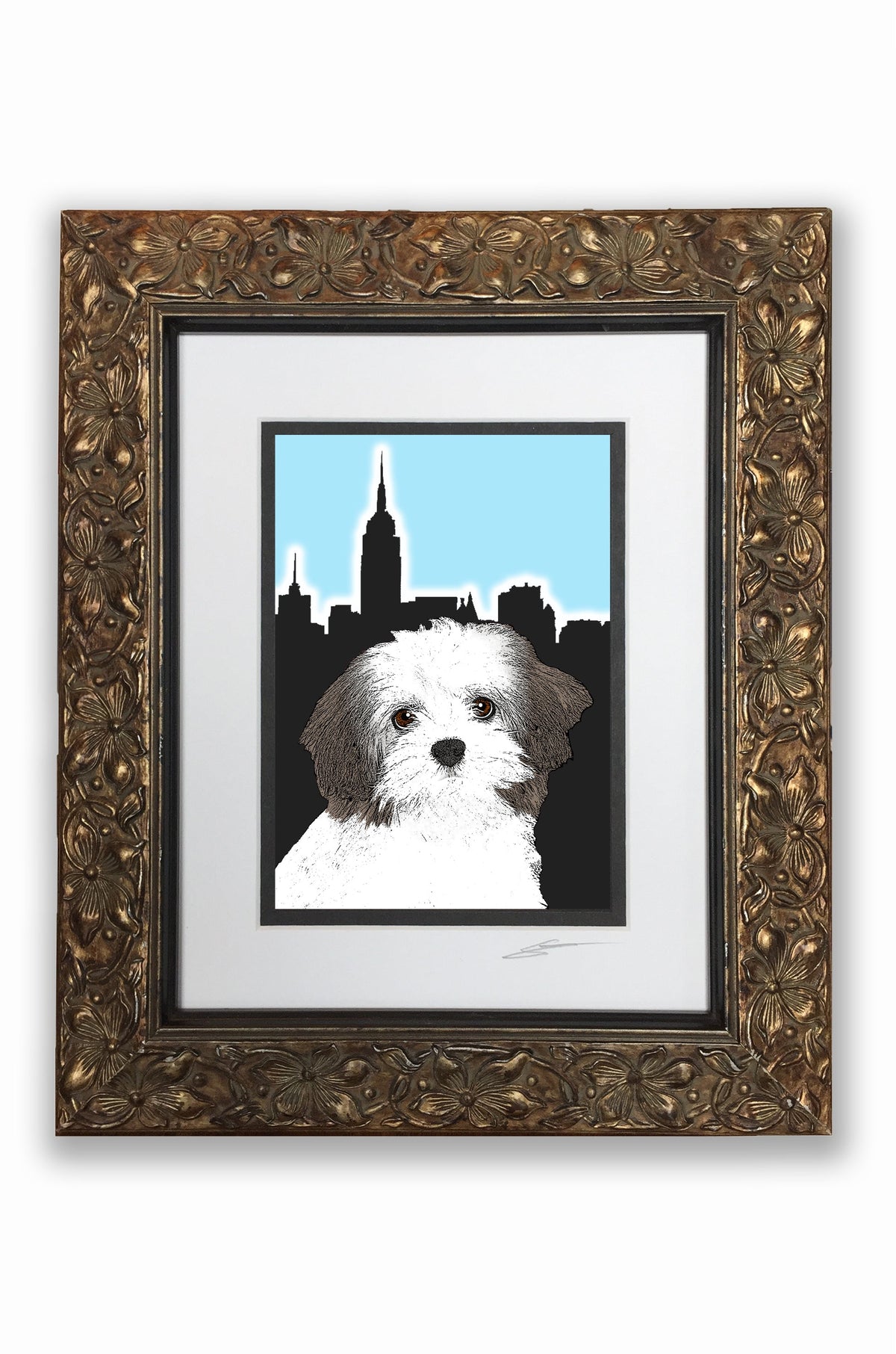 Havanese Pupart Portrait