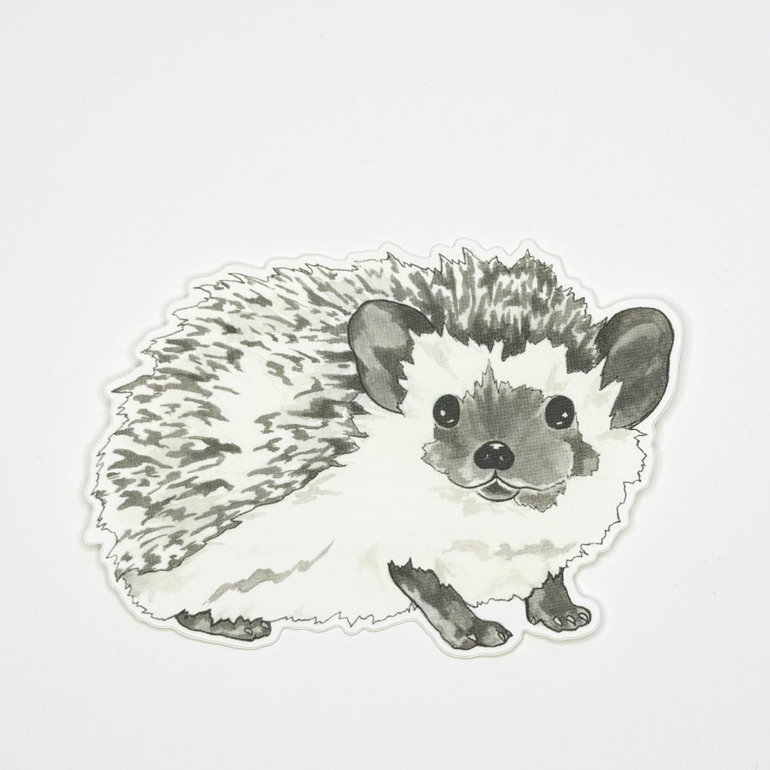 Hedgehog Sticker