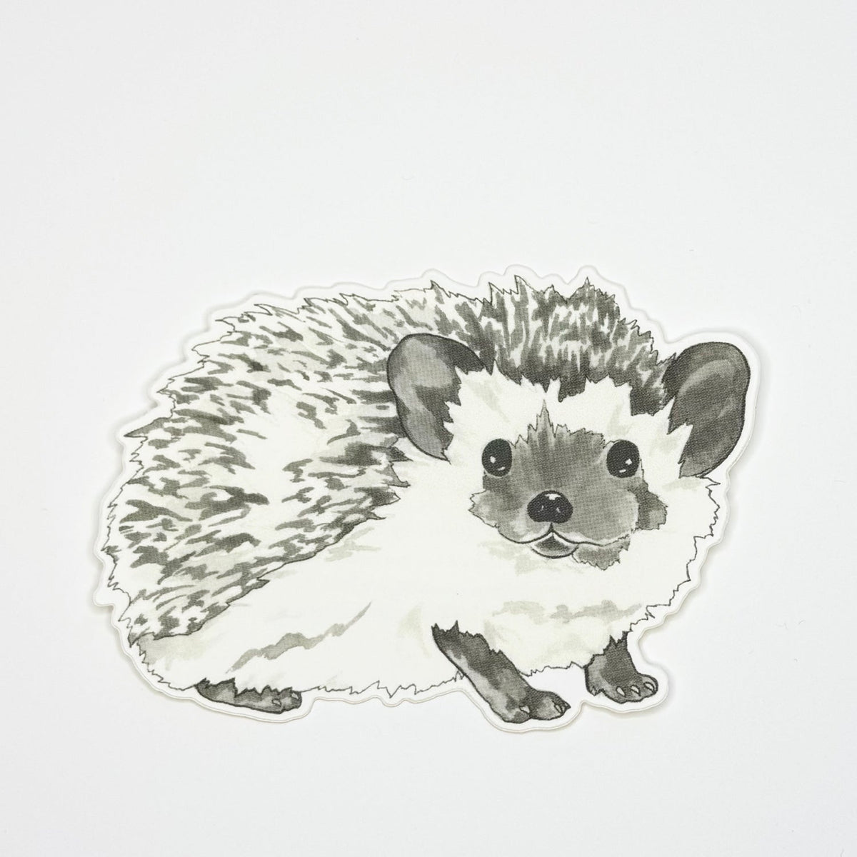 Hedgehog Sticker