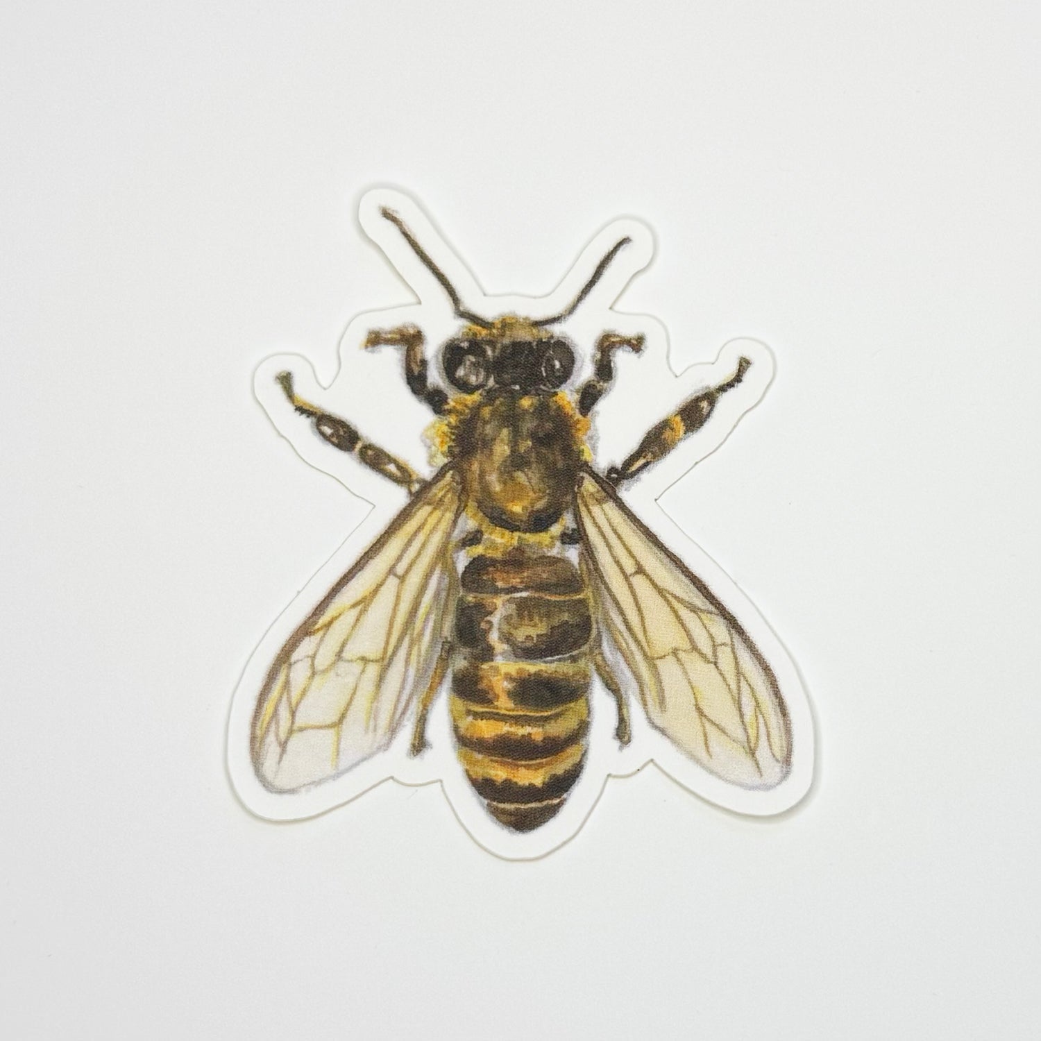 Honey Bee Sticker