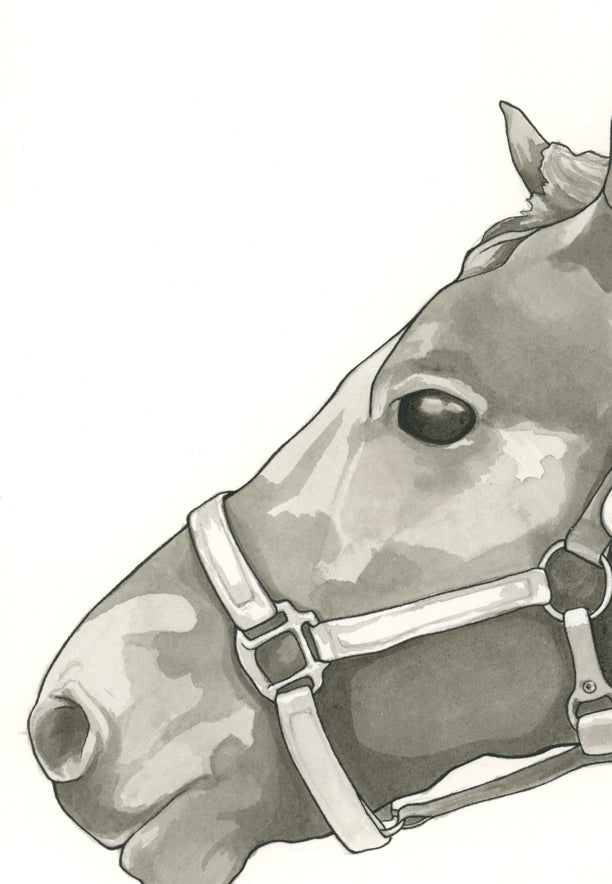 Horse Print