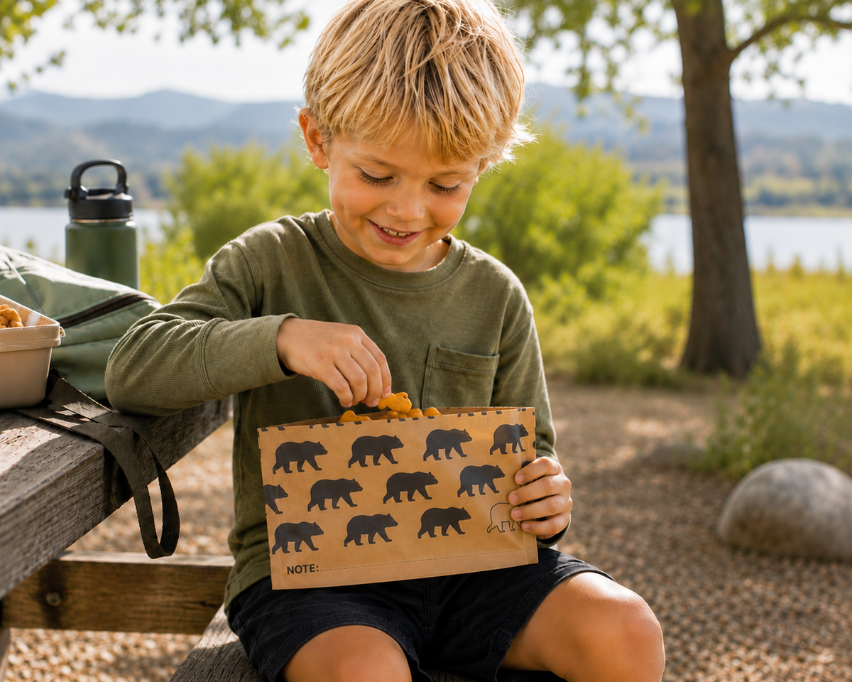 Child holding a bag with bear designs outdoors near a lake