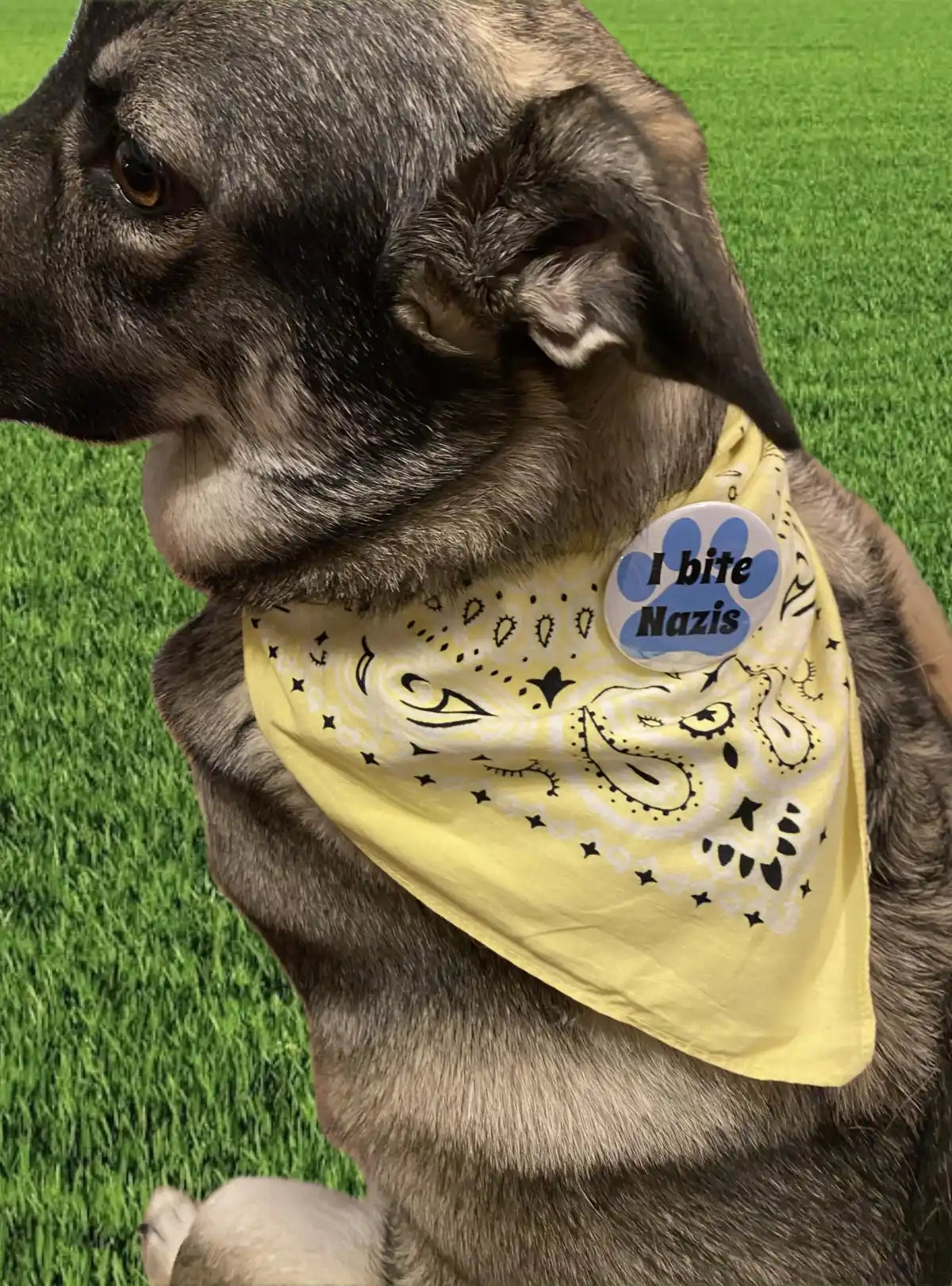 I bite Nazis protest button for dogs
