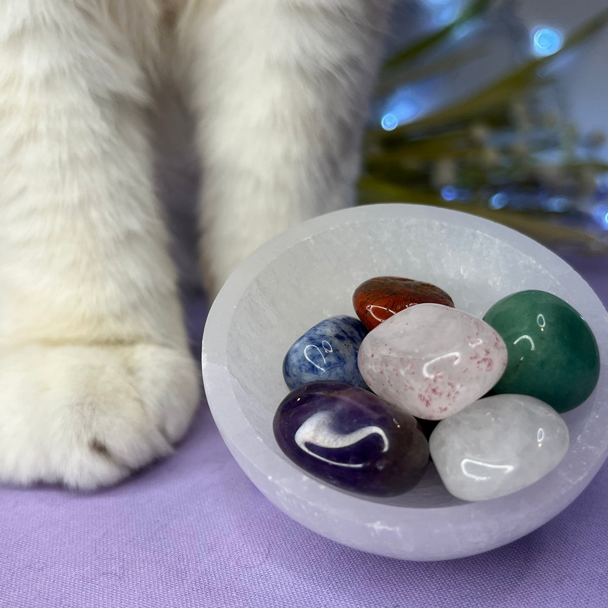 A white crystal ball bowl containing seven polished tumbled stones in various colors, with a white cat&