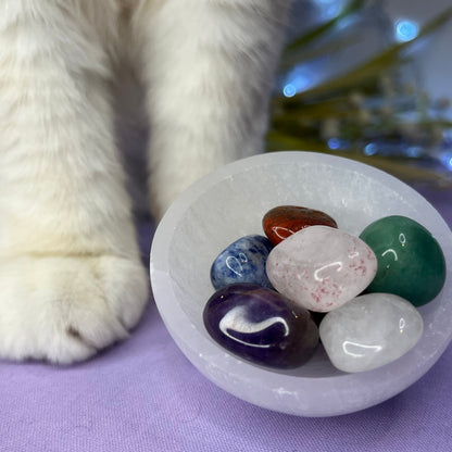 A white crystal ball bowl containing seven polished tumbled stones in various colors, with a white cat&