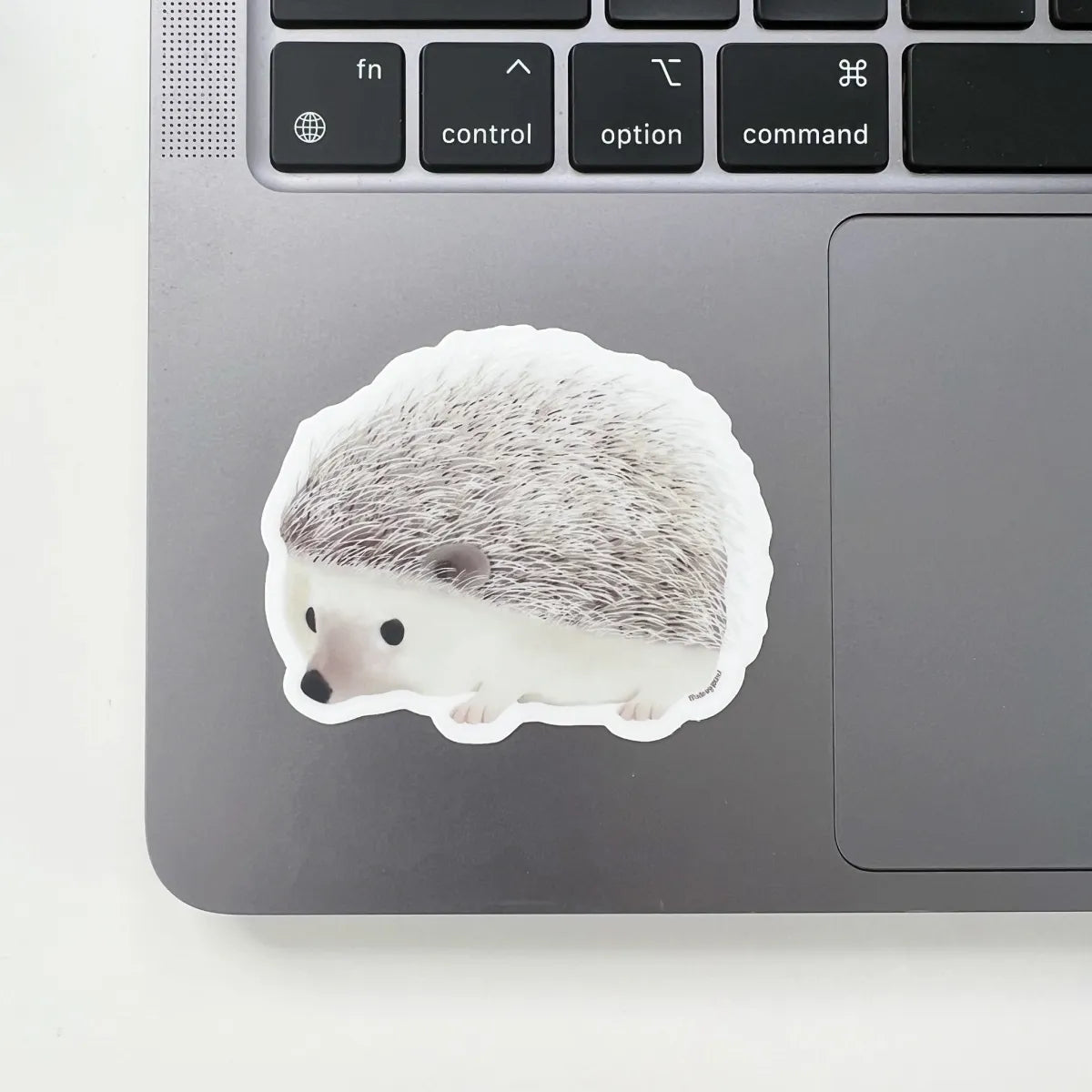 Hedgehog sticker