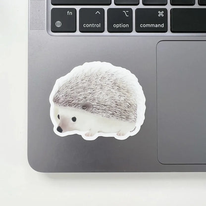 Hedgehog sticker