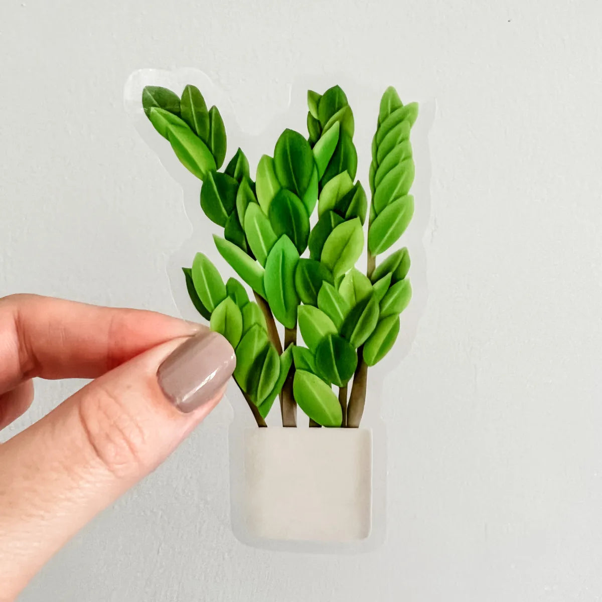 ZZ plant sticker