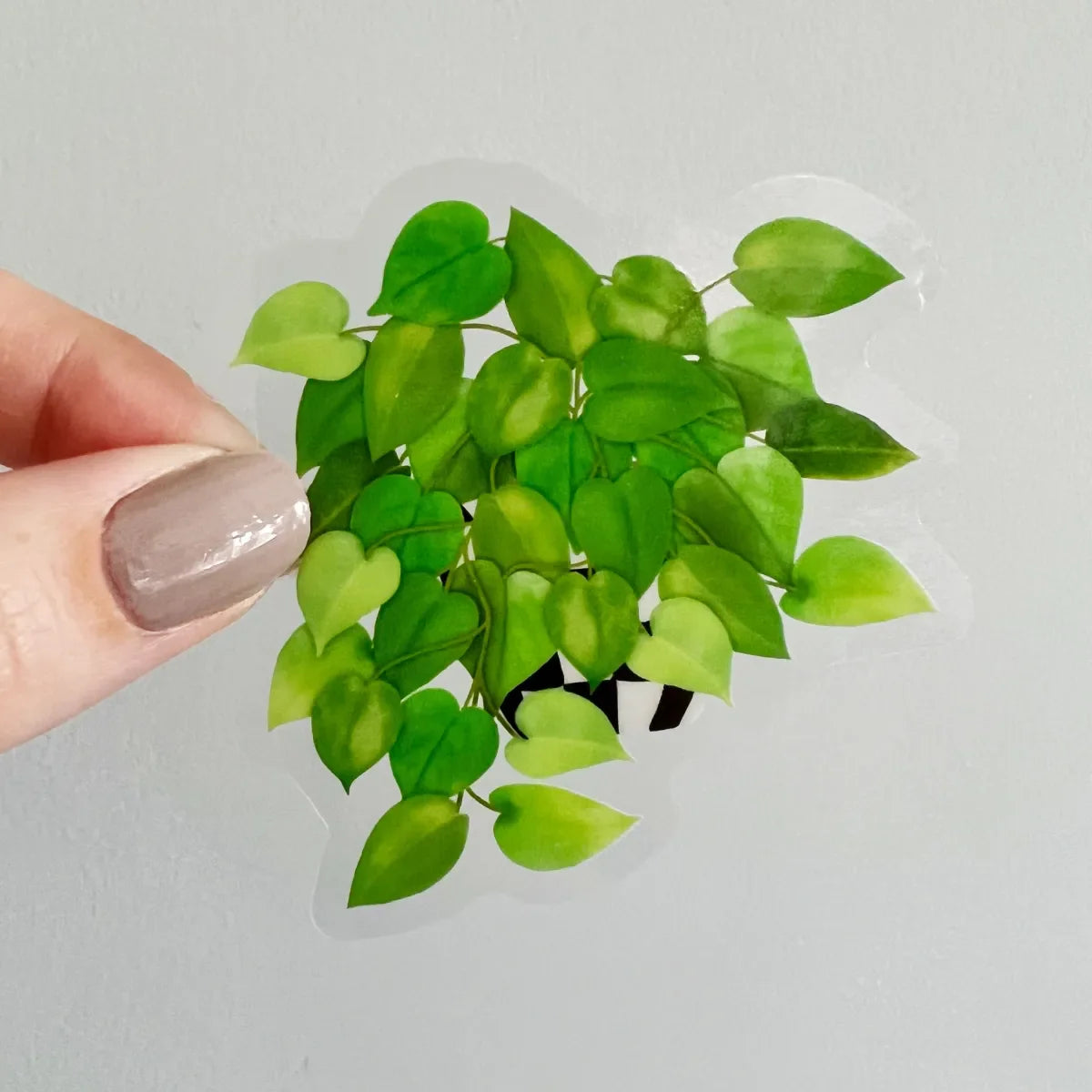 Pothos sticker