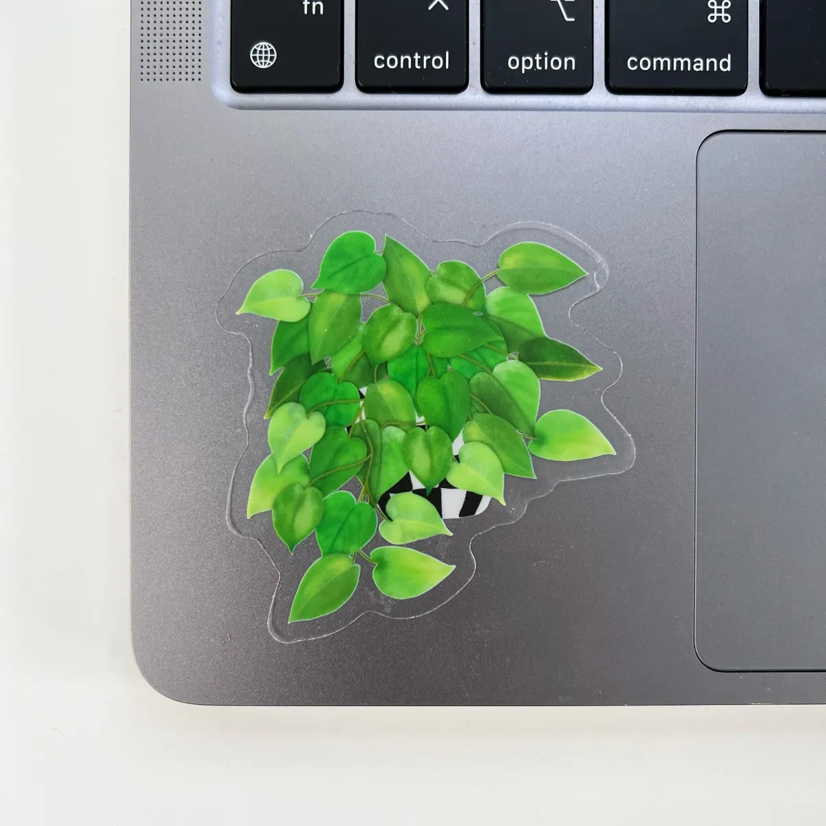 Pothos sticker
