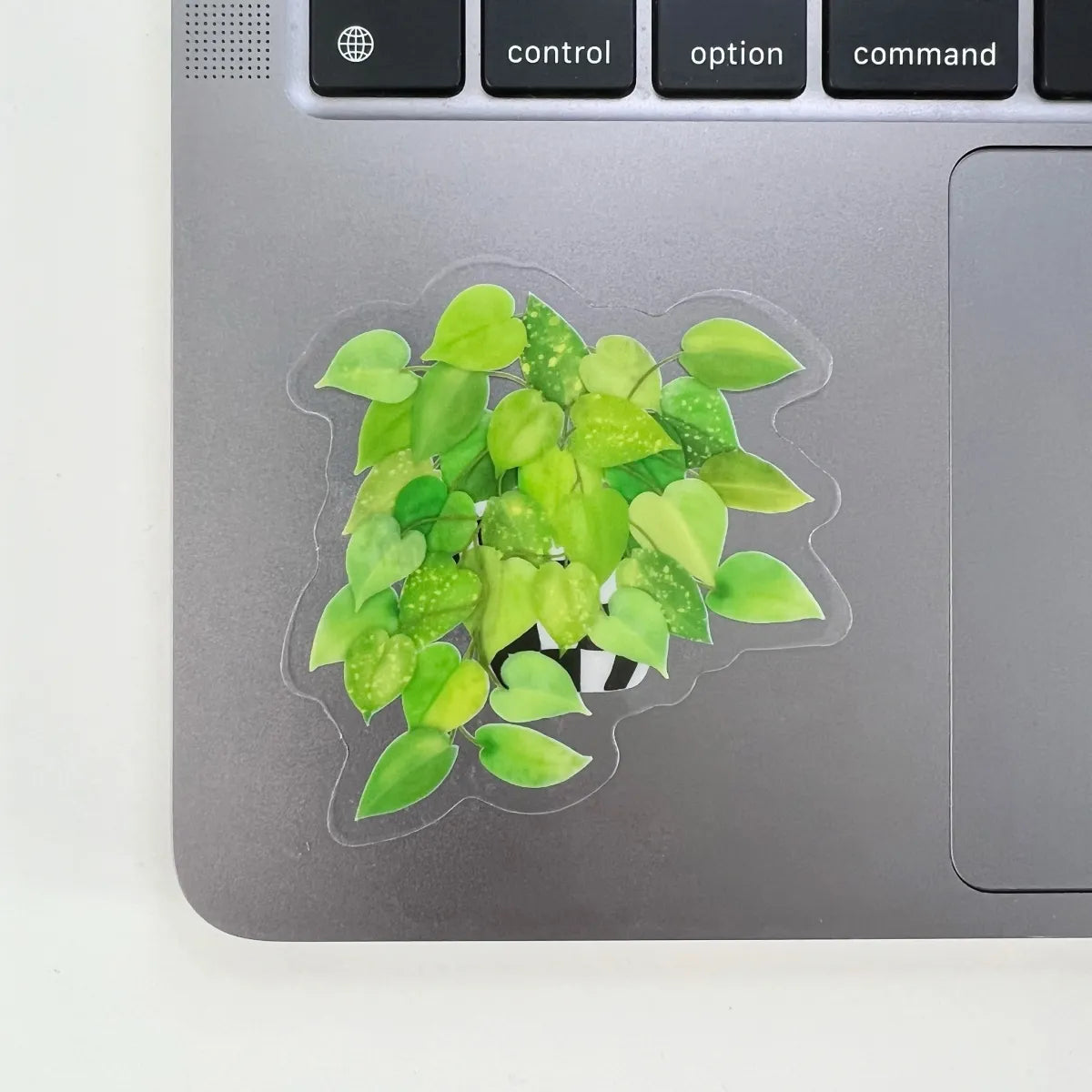 Golden Pothos sticker