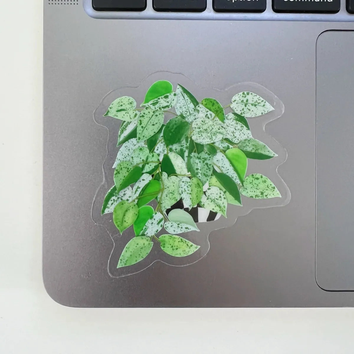 Marble Queen Pothos sticker