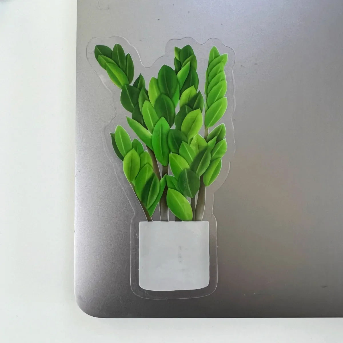 ZZ plant sticker