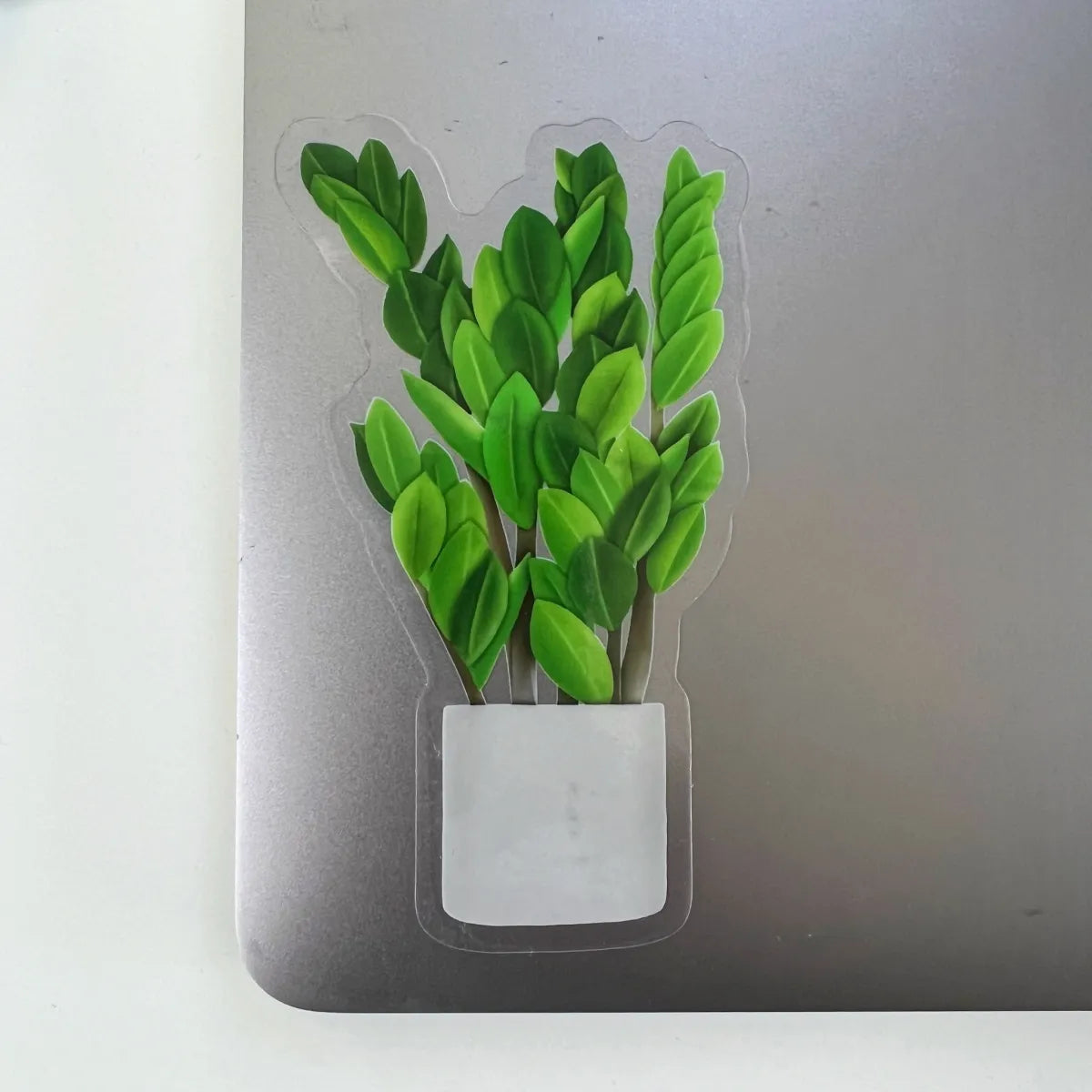 ZZ plant sticker