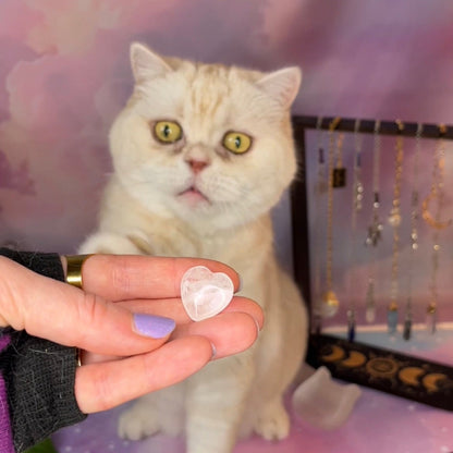 A white cat with yellow eyes looks at a small clear heart-shaped crystal held up by a person&