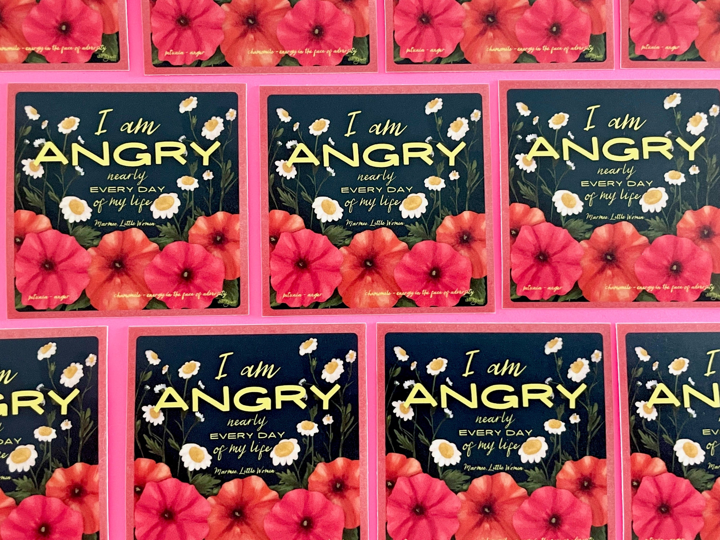 Angry Nearly Every Day - A Beautiful Resistance Sticker