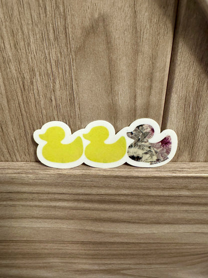 Duck Duck Asexual Duck Sticker - Duck Duck Gray Duck - Duck Duck Pride Duck - Asexual Pride - 3.5"x1.5"