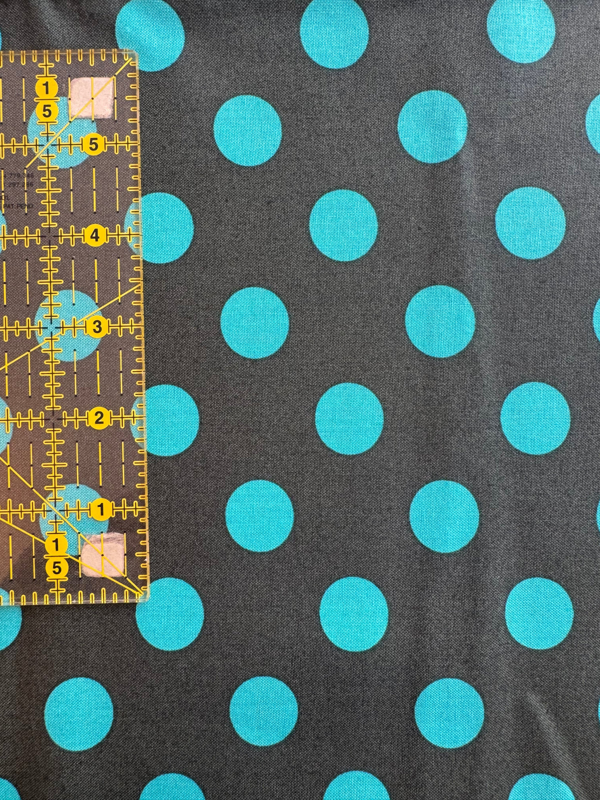 Pom Poms by Tula Pink 2 Yards