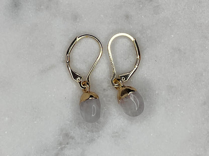 Crystal Drop Earrings Collection | 14K Gold Filled Hypoallergenic Hooks