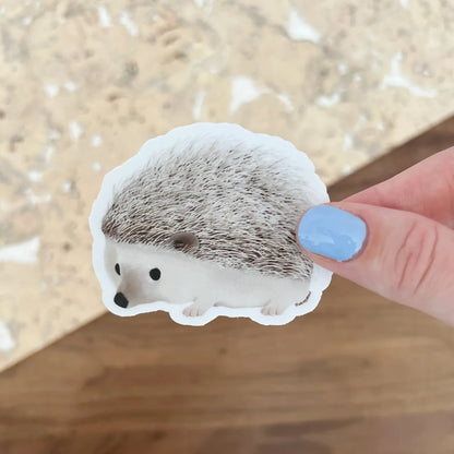 Hedgehog sticker