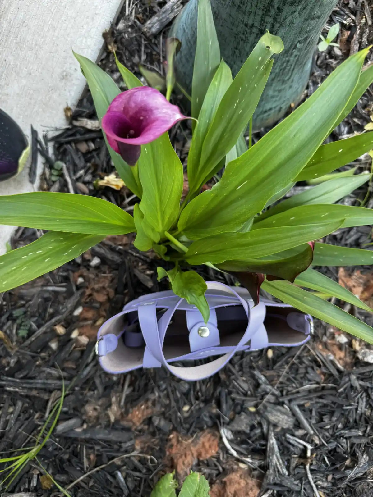 Lavender Mini Tote with Silver Hardware