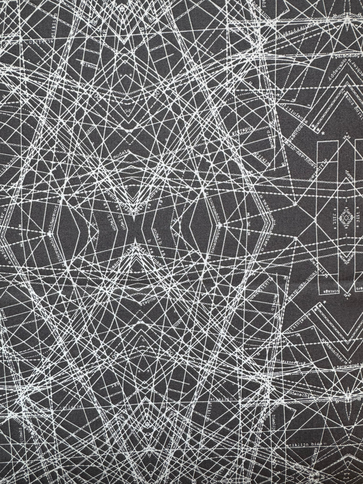 Indelible by Katarina Roccella 1/2 Yard
